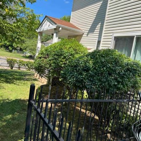 Bush Trimming by Scott Lawncare reviewed on November 18, 2025