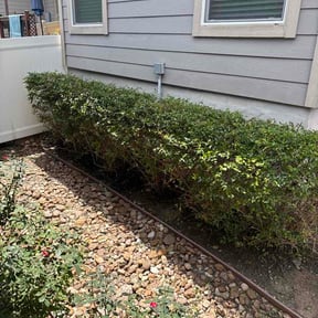 Flower Bed Weeding by Mane Hand Handyman Services LLC reviewed on August 16, 2026