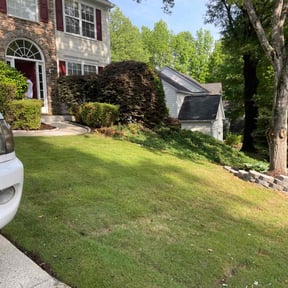 gardening service by Lindsay’s lawncare reviewed on August 17, 2025