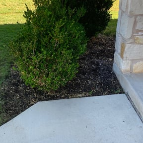 Flower Bed Weeding by Stephen's Lawns reviewed on August 17, 2025