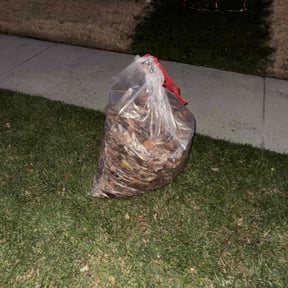 Leaf Removal by Mean Mowz reviewed on December 25, 2025