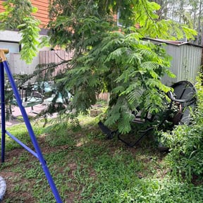 Bush Trimming by Josh’s Quality Lawn Care reviewed on August 26, 2026