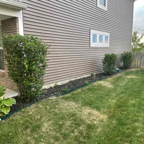 Bush Trimming by Early Bird Lawn Care LLC reviewed on August 20, 2025