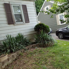 Bush Trimming by Jacob's Lawncare reviewed on August 17, 2025