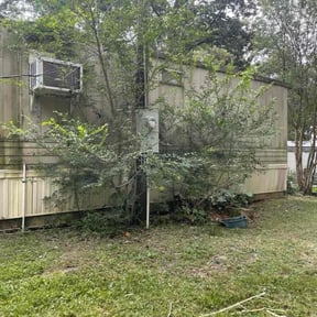 Bush Trimming by A Man and His Machines Lawn Services LLC reviewed on August 18, 2025