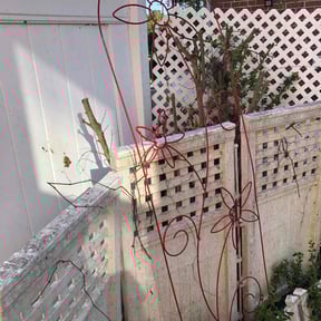 Bush Trimming by 3 brothers landscaping reviewed on August 6, 2025