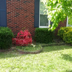 Bush Trimming by Speedy Rabbit Lawncare reviewed on August 20, 2025