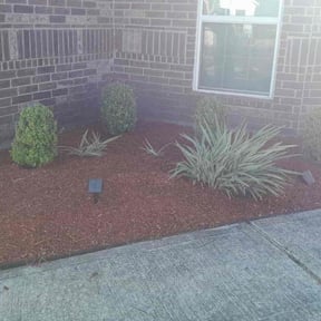 Mulching by Emerson mowing reviewed on August 17, 2025