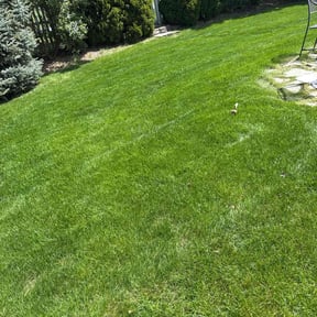 residential landscaping by Arts Landscaping & Maintenance LLC reviewed on August 19, 2025