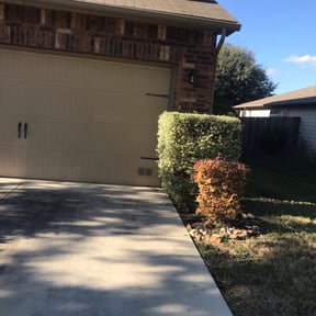 Bush Trimming by MPP Landscaping reviewed on August 16, 2025