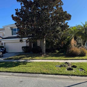 grass cutting by C &amp; A Elite Landscaping reviewed on August 9, 2025