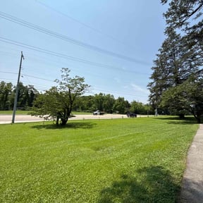 turf maintenance by Thomas Kelly Home Services reviewed on August 19, 2025