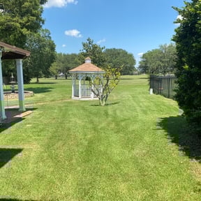 Bush Trimming by Steve's Lawn Care reviewed on August 21, 2025