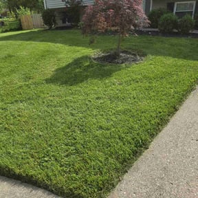 gardening service by Amazon Lawn and Landscape reviewed on November 21, 2025