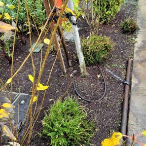 Leaf Removal by Perry’s Landscaping LLC reviewed on November 29, 2025