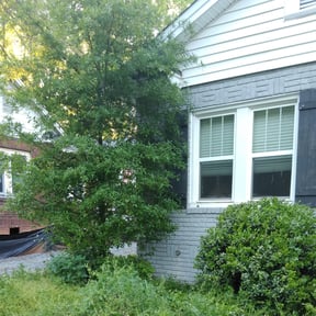 Bush Trimming by Charlie's Property Maintenance LLC reviewed on August 17, 2025