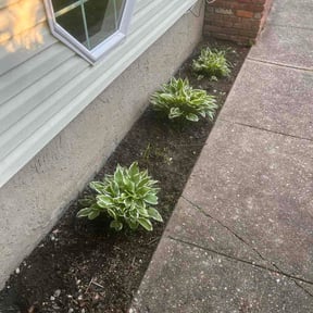 Flower Bed Weeding by Axes &amp; Ladders Lawn Care reviewed on May 10, 2026