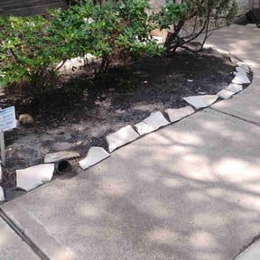 Leaf Removal by prominent reviewed on September 24, 2025