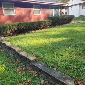 Bush Trimming by Grasman LLC reviewed on October 18, 2025