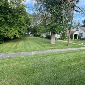 grass maintenance by Township Mowing reviewed on September 28, 2024