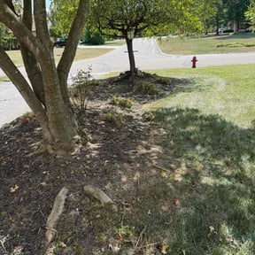 Flower Bed Weeding by Lybarger&#039;s lawn care reviewed on October 18, 2025