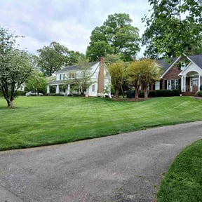 yard service by McNeil&#039;s lawn care &amp; maintenance reviewed on November 21, 2025