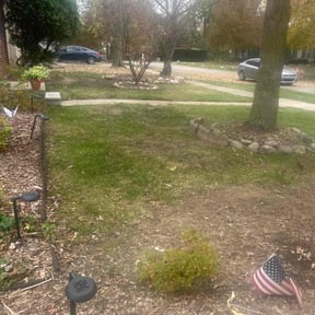 Leaf Removal by J&M Landscaping reviewed on August 16, 2025