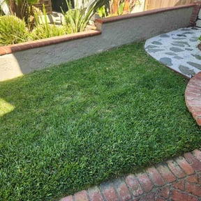 gardening service by YARD TRANSFORMERS reviewed on August 18, 2025