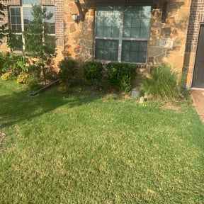 Bush Trimming by Ángel landscaping tree service reviewed on August 18, 2025