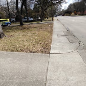 Leaf Removal by The Plants&#039; Pruner reviewed on September 26, 2025