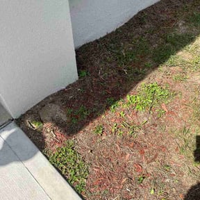 Flower Bed Weeding by Jamil R Hudson reviewed on July 11, 2026