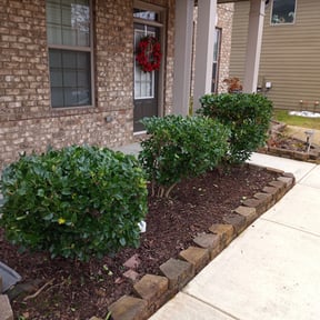 Bush Trimming by GHS Home Services Plc. reviewed on August 21, 2025
