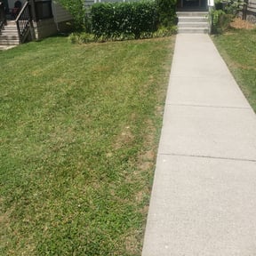 Bush Trimming by Willie's Mobile Lawn Services reviewed on August 17, 2025