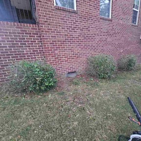 Bush Trimming by Waters Landscaping reviewed on November 23, 2025