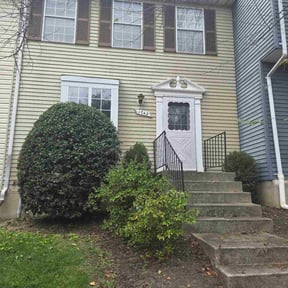 Bush Trimming by Montijo landscaping llc reviewed on October 20, 2025