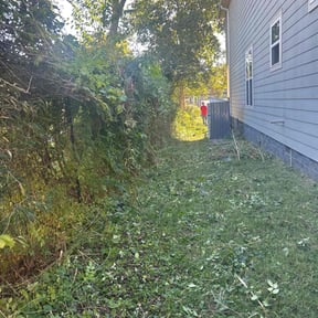 Bush Trimming by GC Lawn Care &amp; Landscaping Services reviewed on March 19, 2024