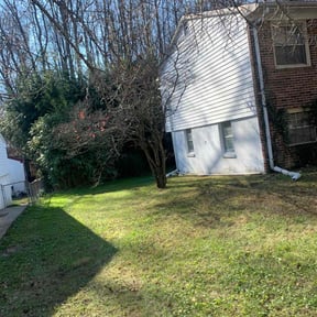 Leaf Removal by T&#039;s lawn care &amp; maintenance reviewed on September 23, 2025