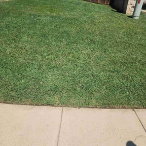 landscaping by Scarlet and gray Lawn Care Management LLC reviewed on August 21, 2025