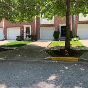 landscaping by Green coqui lawn services reviewed on August 19, 2025