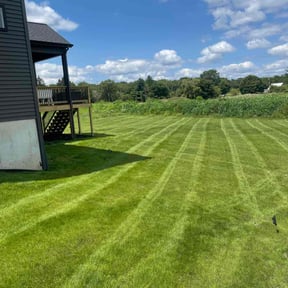 lawn care by iFixPhx Handyman and Property Care reviewed on October 9, 2023