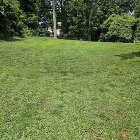 landscaping services by Duran Sr. Services reviewed on August 15, 2025