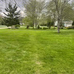 landscaping services by Krispy Kutz Landscaping & More reviewed on August 21, 2025
