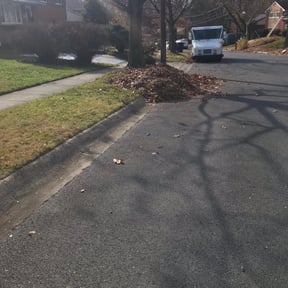 Leaf Removal by FRL Landscaping reviewed on September 10, 2025