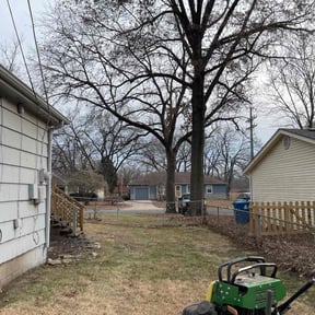 Leaf Removal by A&M professional landscapers reviewed on August 21, 2025