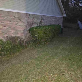 Bush Trimming by SameDayLawnCare reviewed on March 22, 2026