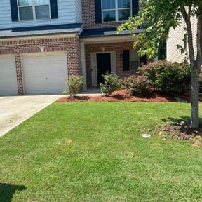 landscaping by All You Need reviewed on August 18, 2025