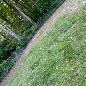 Leaf Removal by Heiser Lawn and Residential Excavating reviewed on September 12, 2025