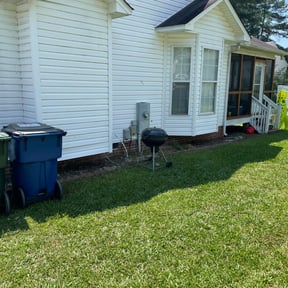 Bush Trimming by Aee handymany services reviewed on March 15, 2025