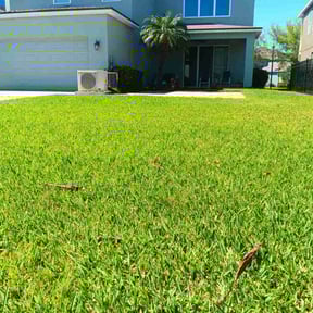 yard care by Chopp'em Up Lawn Care reviewed on August 20, 2025