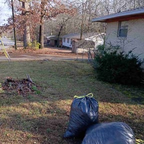 Leaf Removal by Jjecofriendly reviewed on January 3, 2026